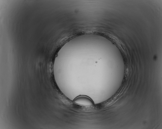 X0000100770525200806190936