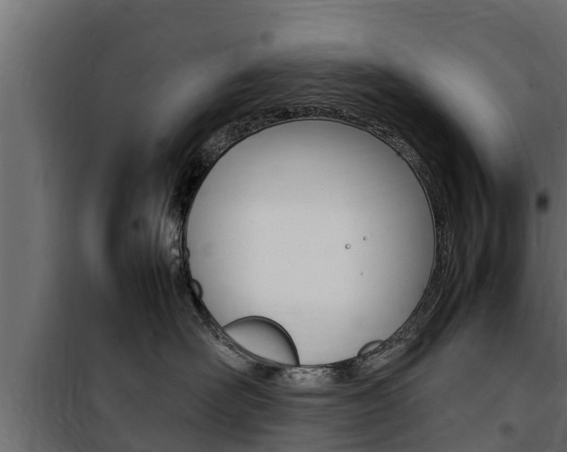 X0000100770526200806190936