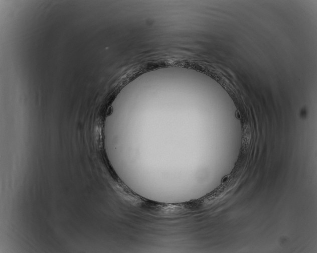 X0000100770527200806190936