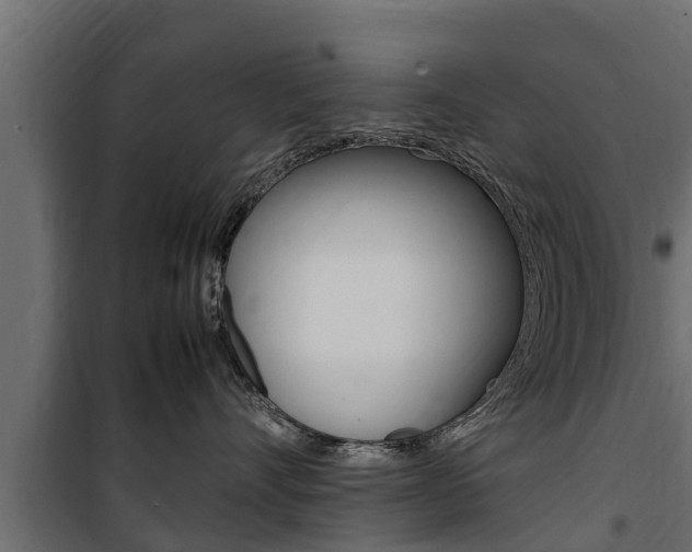 X0000100770528200806190936