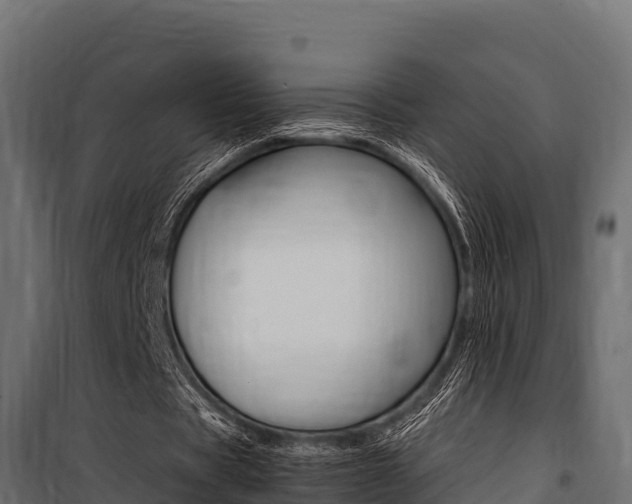 X0000100770529200806190935