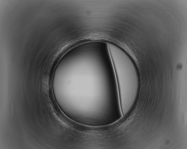 X0000100770530200806190935