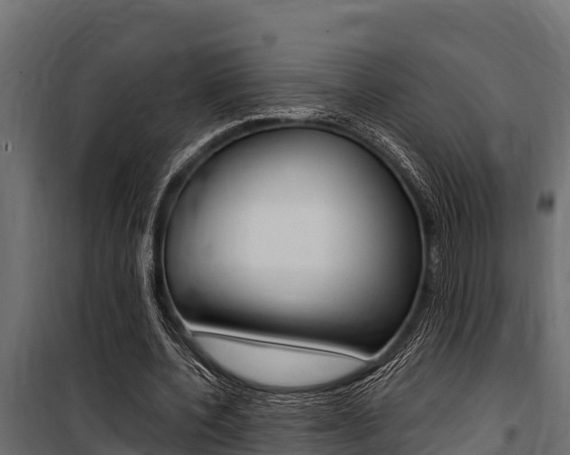 X0000100770532200806190935