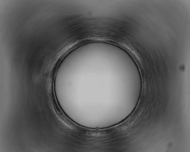 X0000100770533200806190935