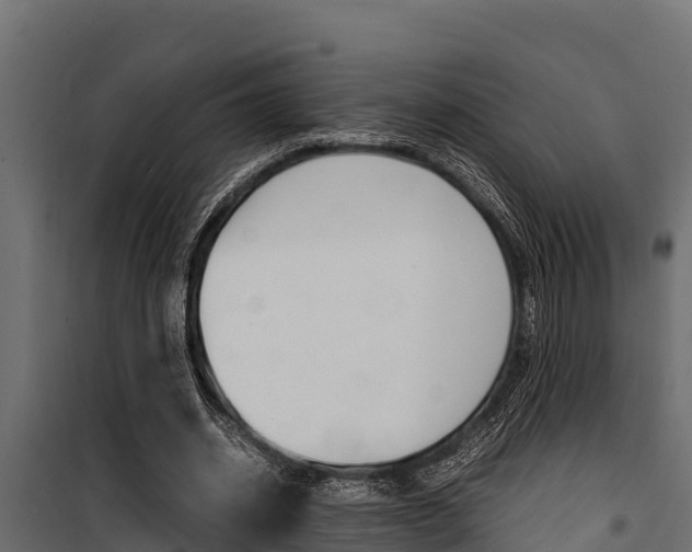 X0000100770534200806190935