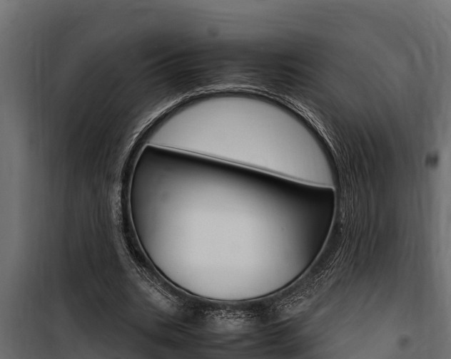 X0000100770535200806190935