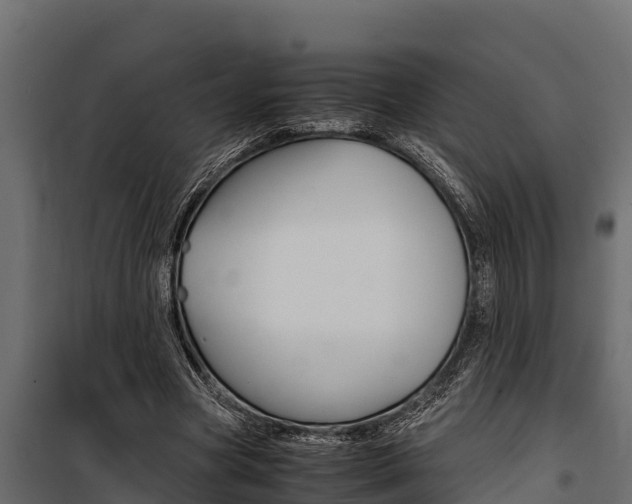X0000100770537200806190935