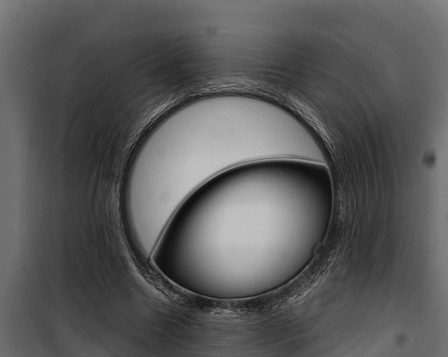 X0000100770538200806190935