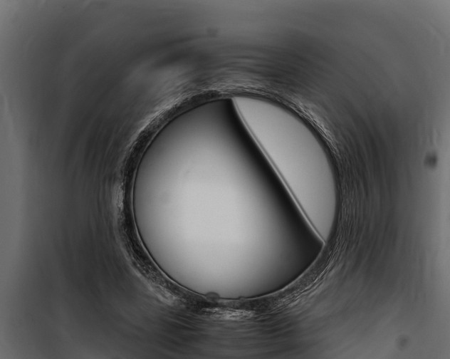 X0000100770539200806190935