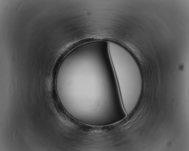X0000100770540200806190935