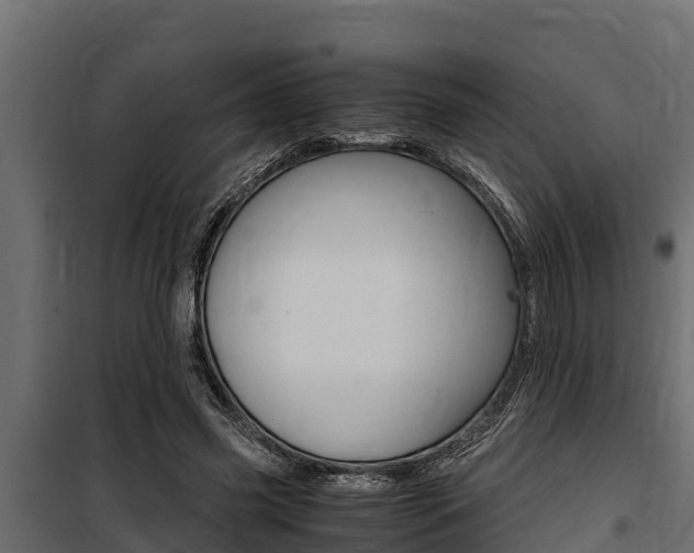 X0000100770541200806190935