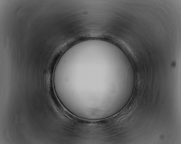 X0000100770542200806190935