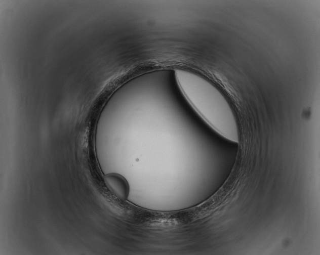 X0000100770543200806190935