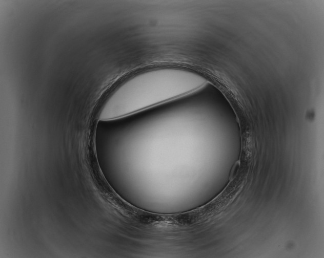 X0000100770544200806190935