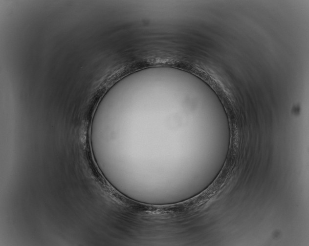 X0000100770545200806190935