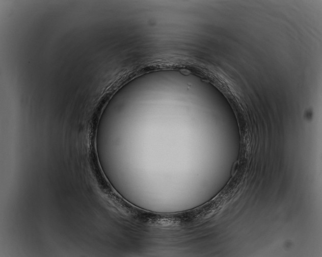 X0000100770546200806190935
