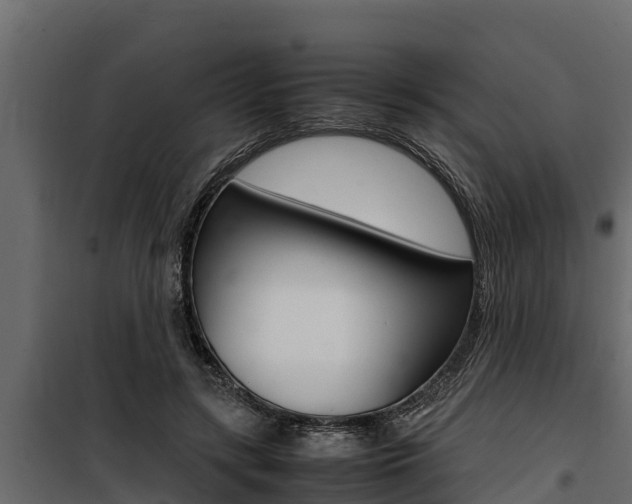 X0000100770547200806190935