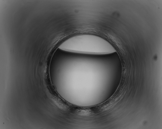 X0000100770548200806190935