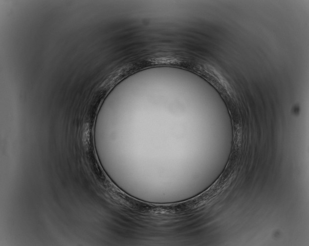X0000100770549200806190935