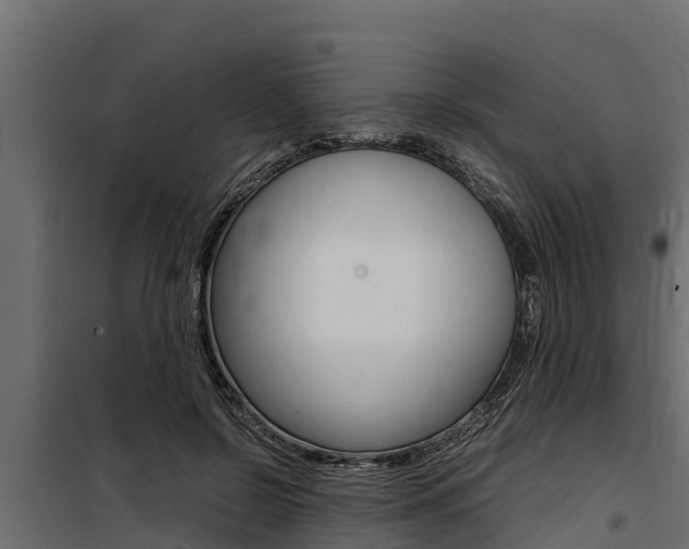 X0000100770550200806190935