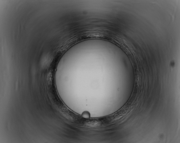 X0000100770551200806190935