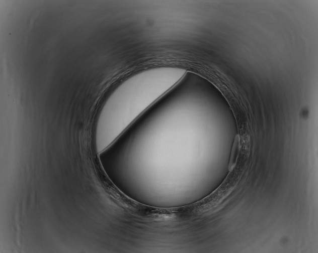 X0000100770552200806190935