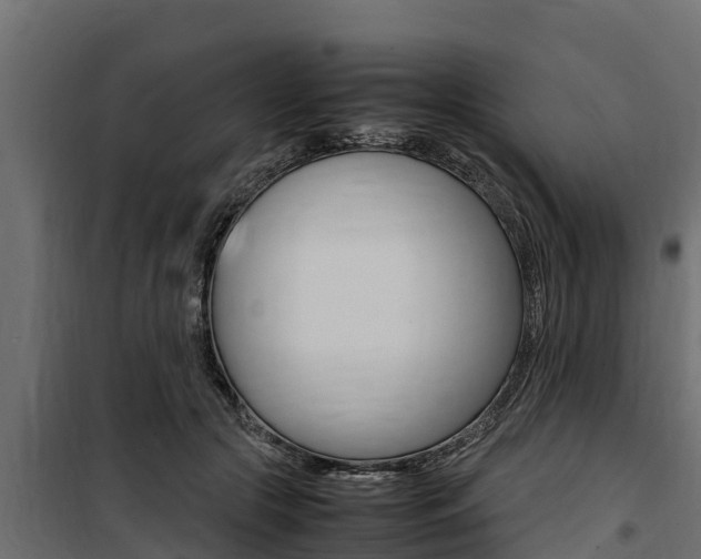 X0000100770553200806190935
