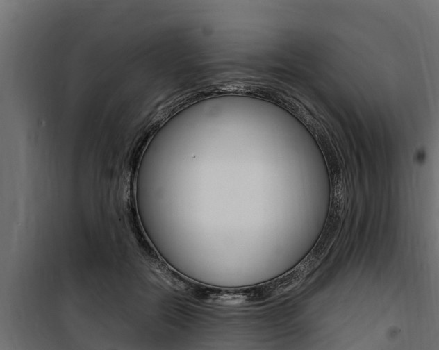 X0000100770554200806190935