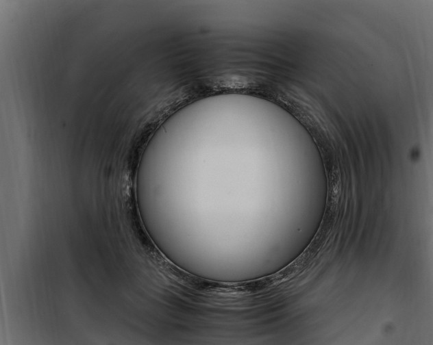 X0000100770555200806190935