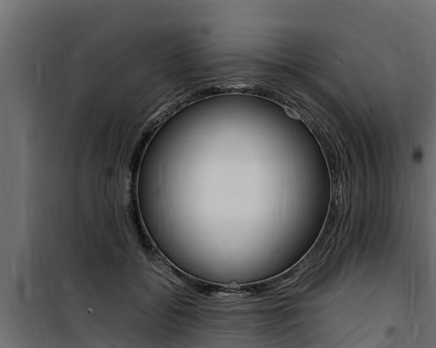 X0000100770556200806190935