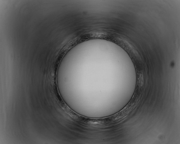 X0000100770557200806190935