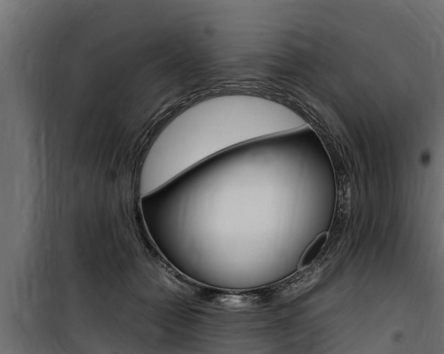 X0000100770558200806190935