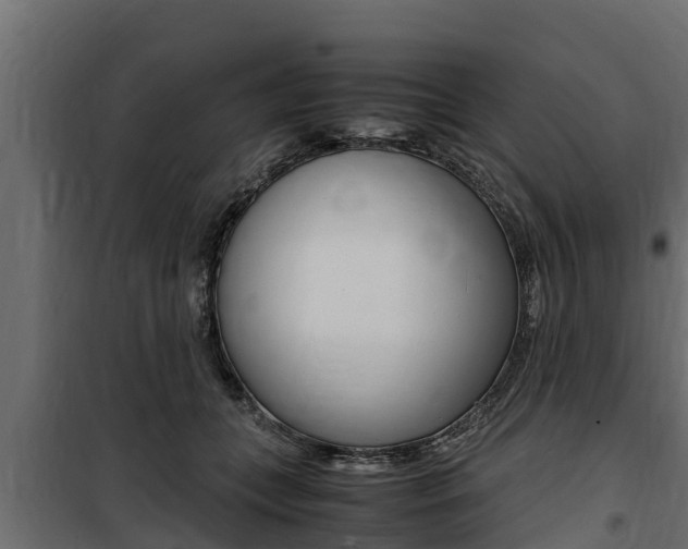 X0000100770559200806190935
