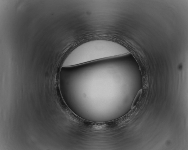 X0000100770560200806190935