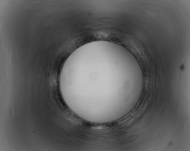 X0000100770561200806190935