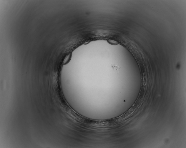 X0000100770563200806190935