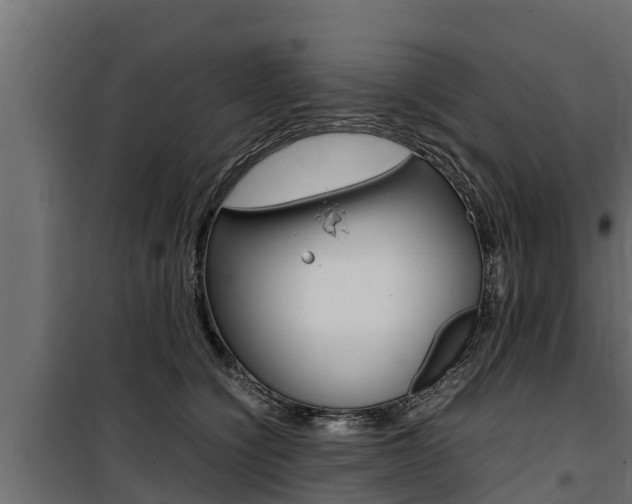X0000100770564200806190935