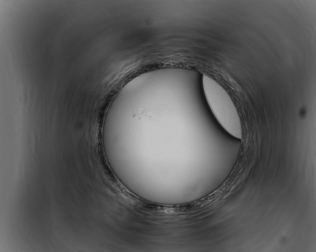 X0000100770565200806190935