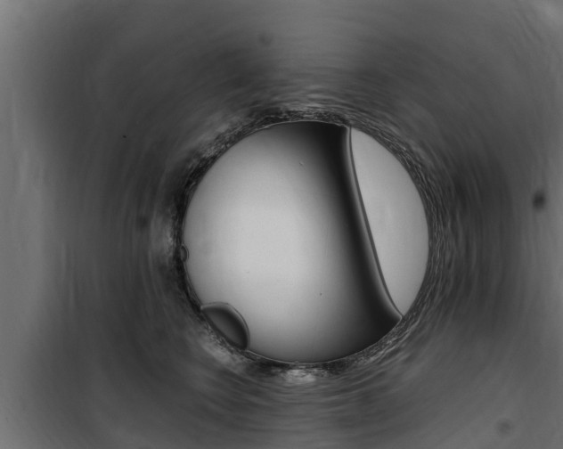 X0000100770566200806190935
