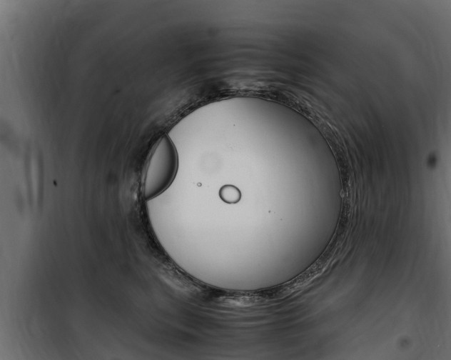 X0000100770567200806190936