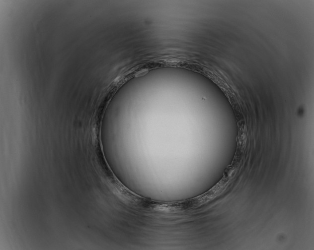 X0000100770568200806190936
