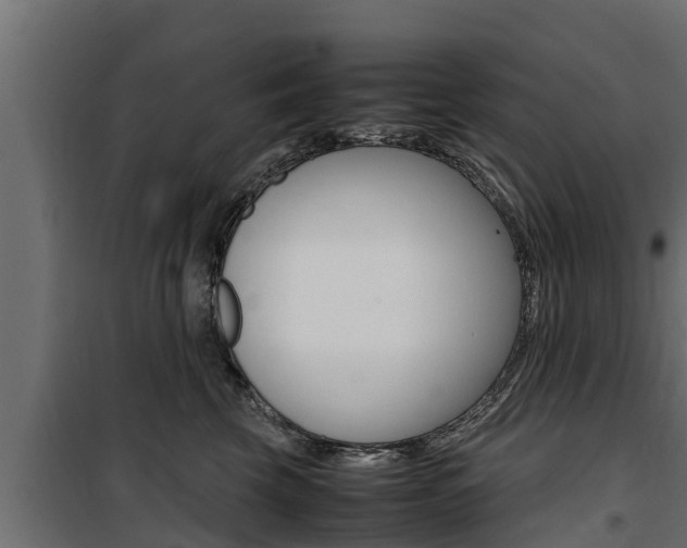 X0000100770569200806190936