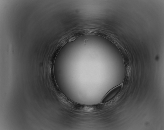 X0000100770570200806190936