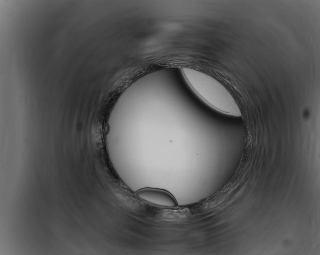 X0000100770571200806190936