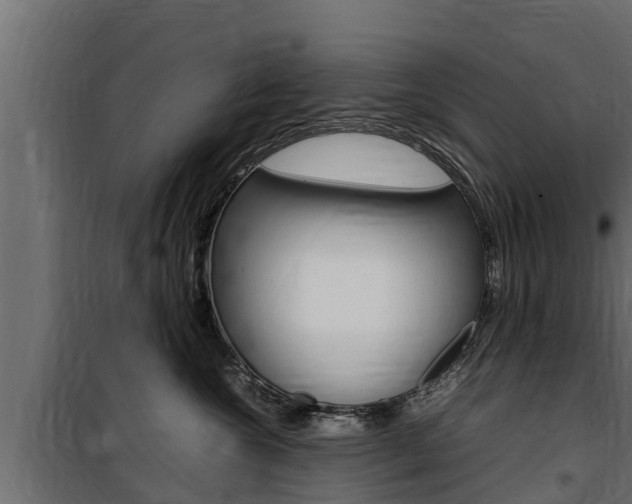 X0000100770572200806190936