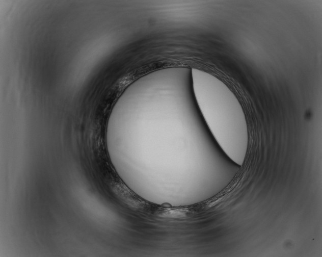 X0000100770573200806190936