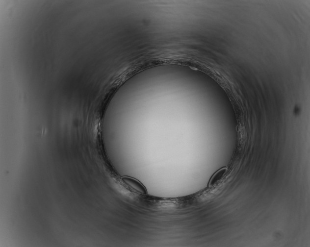 X0000100770574200806190936