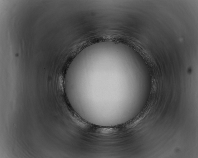 X0000100770575200806190936