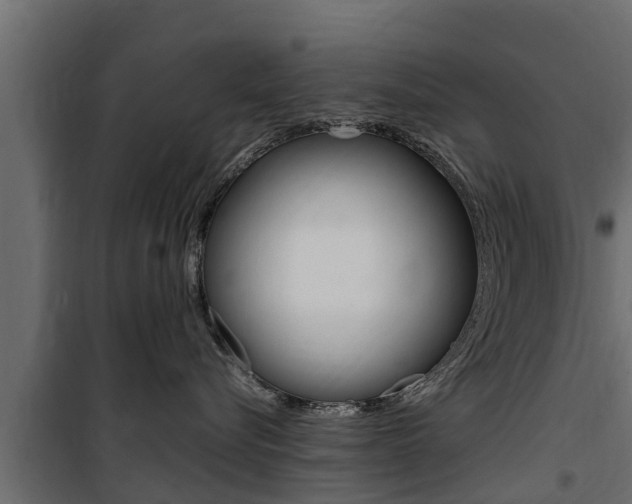 X0000100770576200806190936