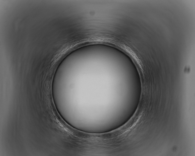 X0000100770577200806190935